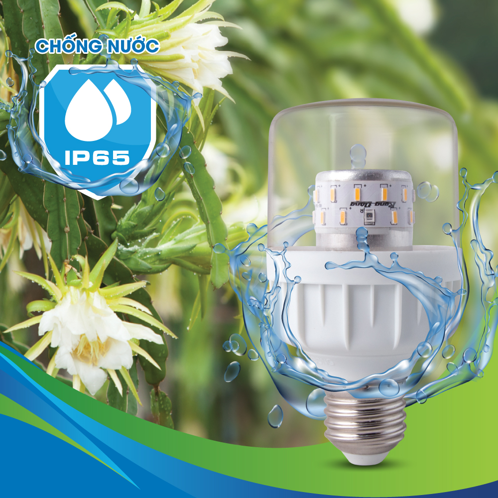 TIẾT KIỆM ĐẾN 30 TRIỆU ĐỒNG/1ha KHI SỬ DỤNG ĐÈN LED CHIẾU SÁNG THANH LONG